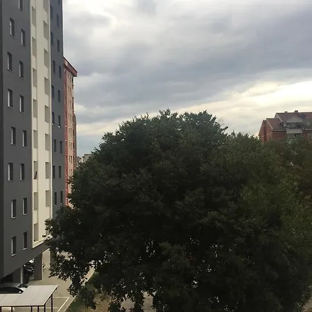 Tbm *